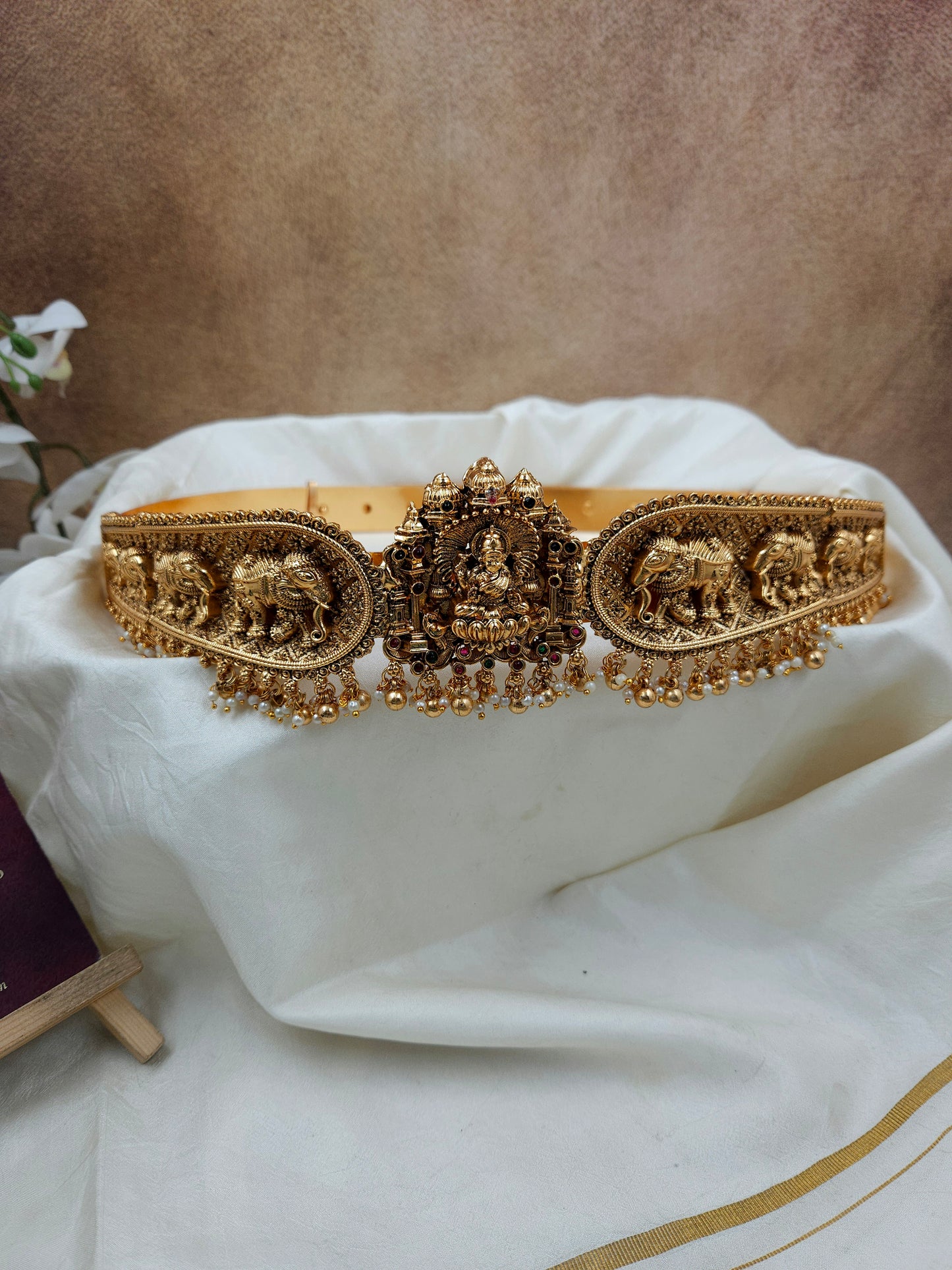 Hip belt Hb390