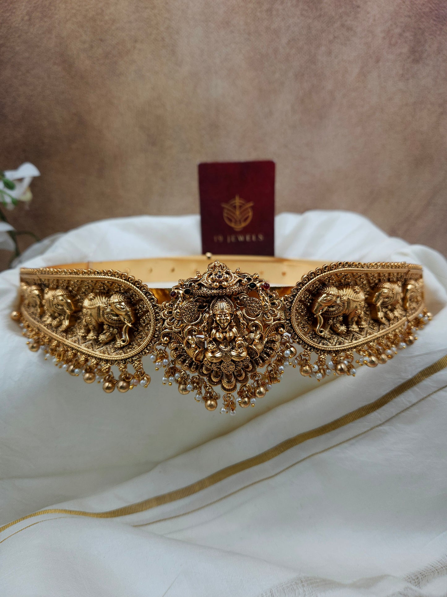 Gaja vendan Hip belt Hb373