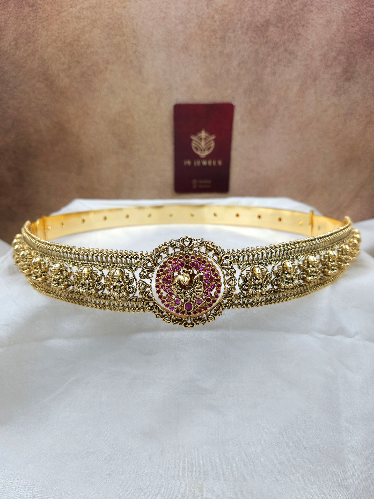 Premium hip belt ( 2 in 1 locket )Hb350