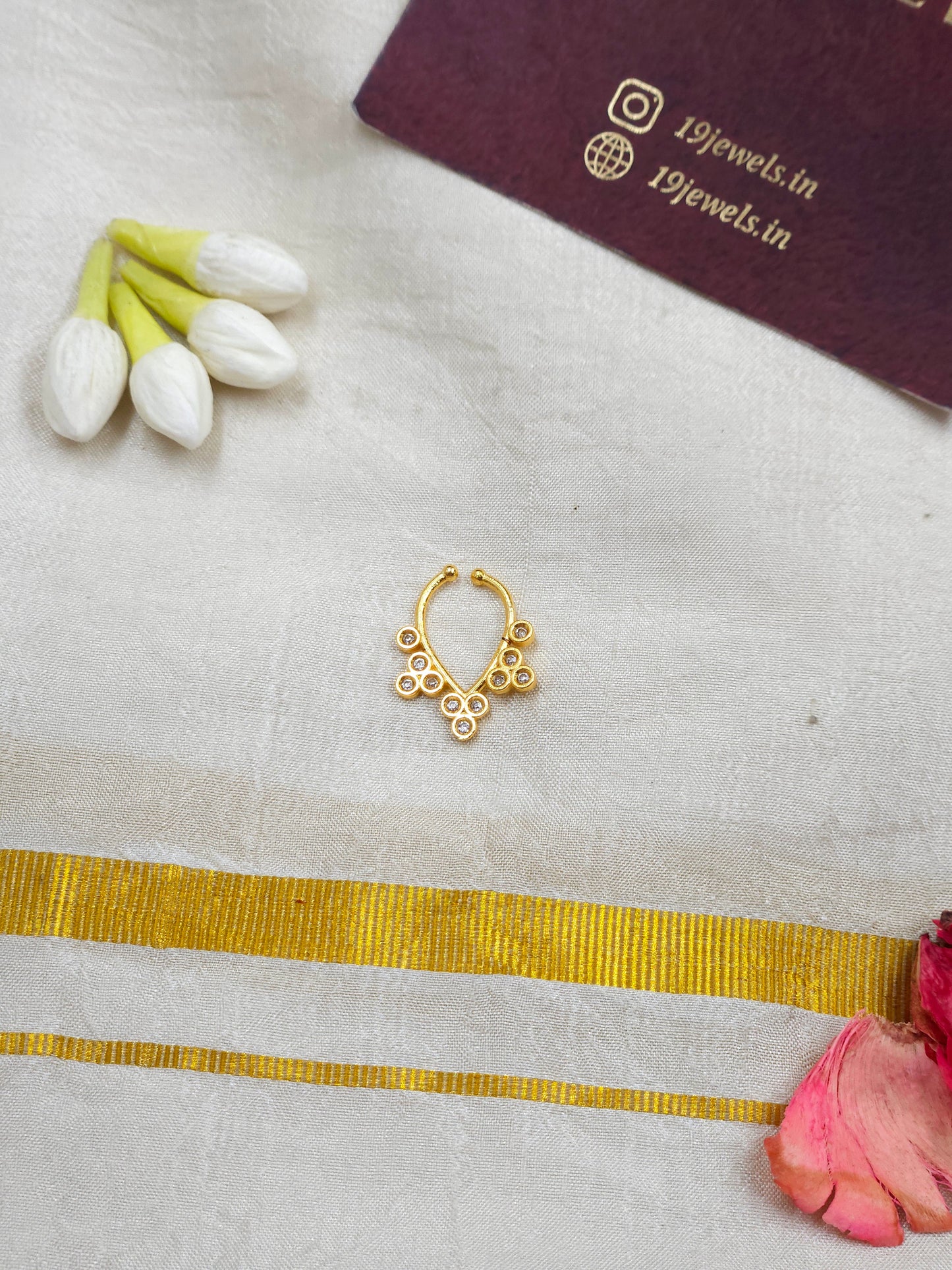 Septum ring 474-J4